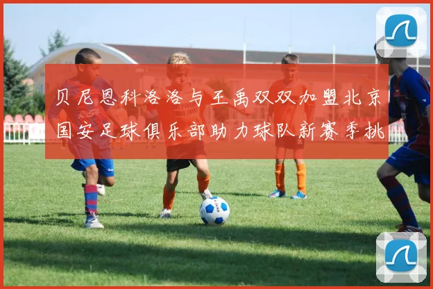 贝尼恩科洛洛与王禹双双加盟北京国安足球俱乐部助力球队新赛季挑战