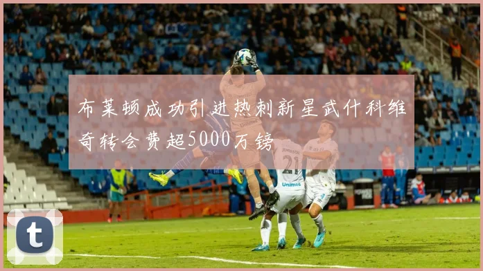 布莱顿成功引进热刺新星武什科维奇转会费超5000万镑